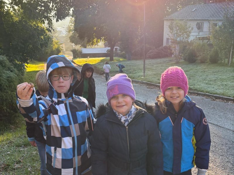 Walk and talk in the morning